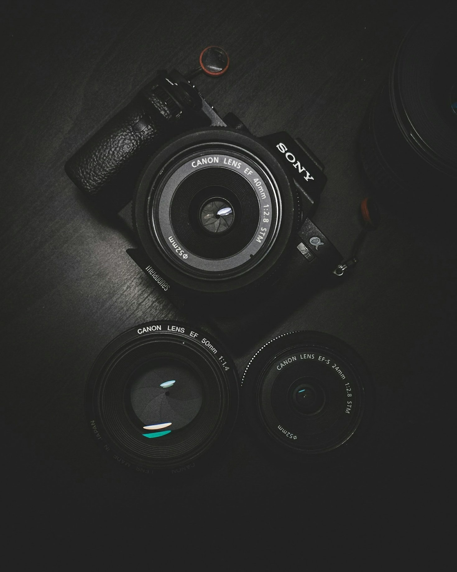 La importancia de la luz en la fotografía