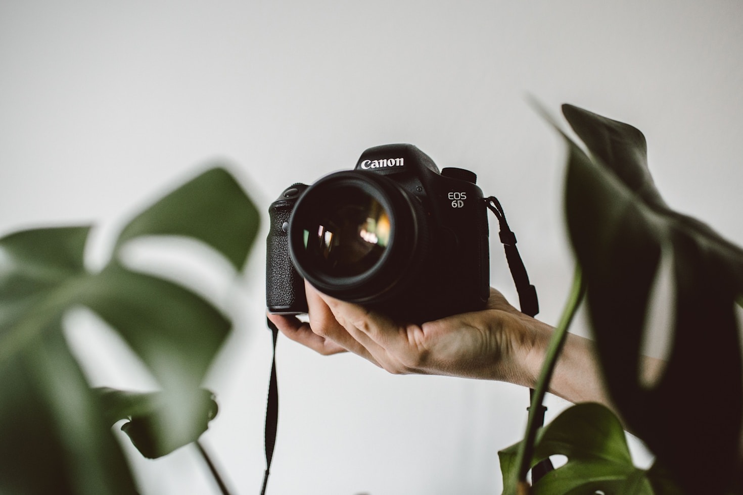 El proceso creativo detrás de una sesión fotográfica